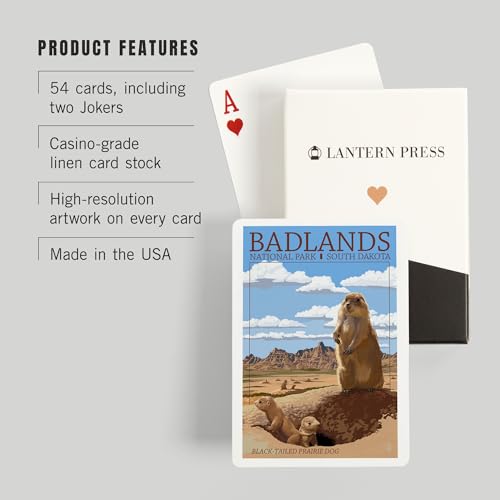 Baraja de Poker Badlands National Park 52 Cartas miniatura 3