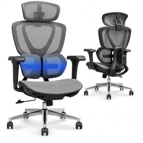 FLEXISPOT BS8 PRO Ergonomic Office Chair, Desk Chair with Dual Wing Lumbar Support and Footrest, 3D Headrest, 3D Armrests & Adjustable Seat Depth, 3-Level Tilt & Height-Adjustable Backrest (Grey)