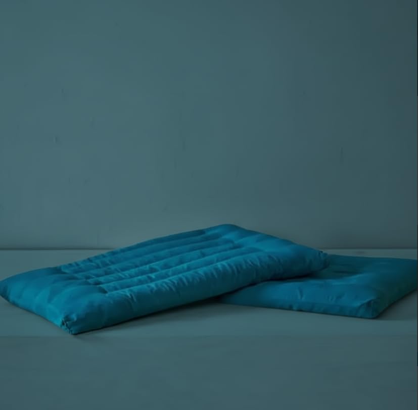 Dovishire Ultra Thin Pillow 2 cm for Adults, Pink Low-Loft Flat Pillow, Soft Cotton Slim Cushion for Back & Stomach Sleepers, Breathable Lightweight Single Pack (Blue)