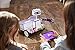 littleBits Space Rover Inventor Kit-Build and Control a Space Rover tech Toy with Hours of NASA-Inspired Missions!