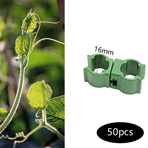 hifrom Bamboo Cane Connectors for Fruit Plant Trellis Cane Connector - Image 2