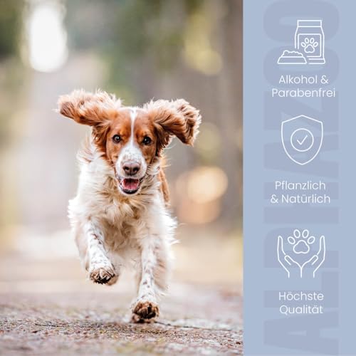 alphazoo Neemöl Hundeshampoo 250 ml – Milde Fellpflege mit Neem- & Teebaumöl – Für empfindliche Hundehaut & glänzendes Fell – Vegan & Ohne Silikone