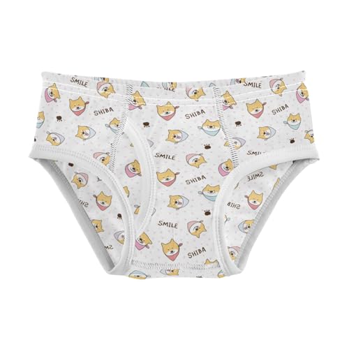 Boys' Exclusive Briefs Toddler Underwear 95% Combed Cotton Boxerbriefs 2T Shiba Inu Dog 4