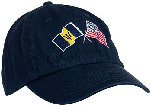 Image of Ann Arbor T-shirt Co. American Friendship Nations Flag Baseball Low Profile Dad Hat for Men Women