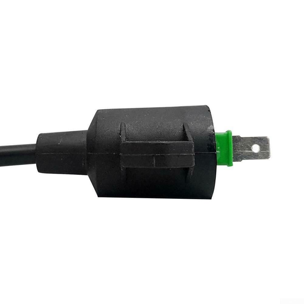 118550209/1 - Bobine d'Allumage pour moteur GGP
