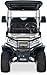 Kandi 4 Passenger Electric Cart w Lithium Battery, 28 Mile Driving Range, 120V Charging Port, 5,000 Watt Electric Motor, 4 Seats, Golf Cart, UTV, Electric Power Steering, Backup Cam Soundbar Silver