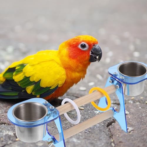 Lugar de ejercicio y entretenimiento para mascotas con percha interactiva de loros 5