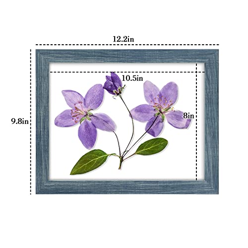 Frametory, 8.5X11 Picture Frame With Glass, Tabletop & Wall Horizontal Or Vertical Display, 8 1/2 X 11 Photo Frame For Diploma, Documents (Blue, 2-Pack) #TOP4