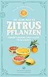 Das kleine Buch der Zitruspflanzen: Herkunft & Botanik, Kunst & Kultur, Pflege & Genuss (Elisabeth Sandmann im it) - Mina Honegger, Andreas Honegger 
