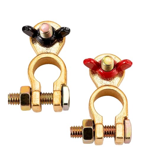 tiyiyok 2 Pièces Cosse Batterie 12v, Cosse Batterie Voiture, Connecteurs Positifs et Négatifs de Batteries en Laiton, Vis M8 pour Voitures, Camionnettes, Bateaux, Camions, Navires