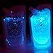 Easy to Grow - Enchanting bioluminescent Marine Plankton, PyroDino 3-Pack 20oz Glowing Plant-Plankton 600ml