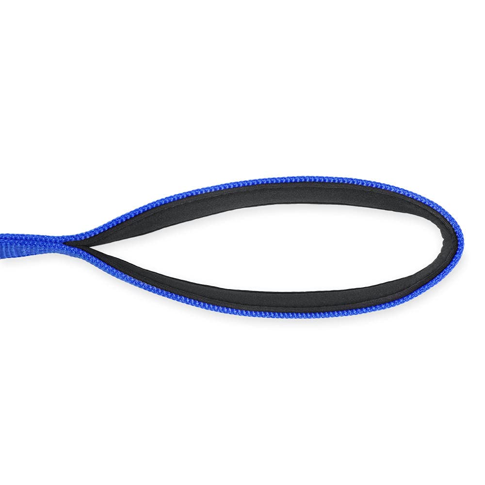 Correa Corta Azul for Perros, Correa de Nailon for Entrenamiento Paseo, Acolchada for Grandes y medianos