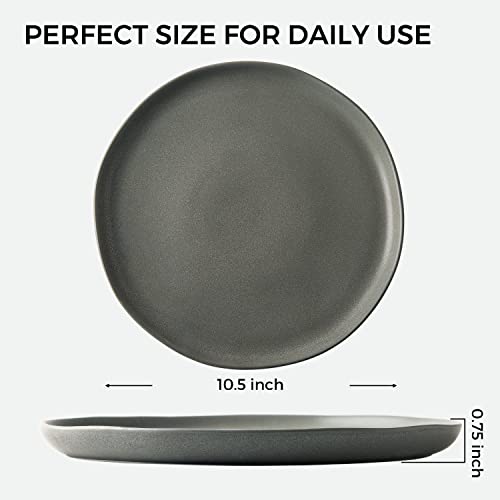 Amorarc 10.5Inch Dinner Plates And 28Oz Cereal Bowl Set, Dishwasher & Microwave Safe, Matte Grey #TOP1