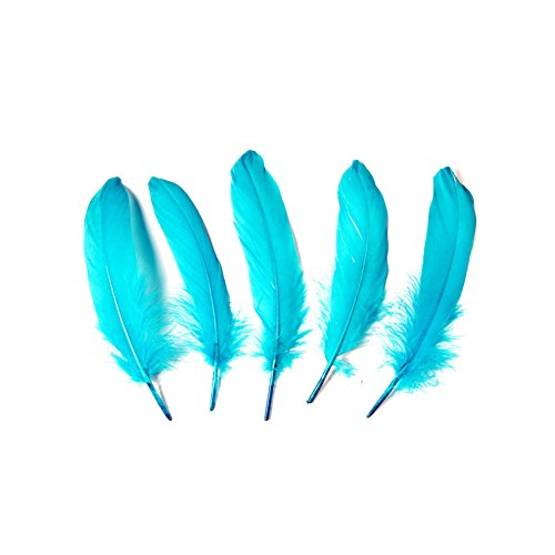 Goose feather,Hgshow 100Pcs beautiful feathers 6-8 inches 15-20 cm, choose color Useful charming Lake Blue