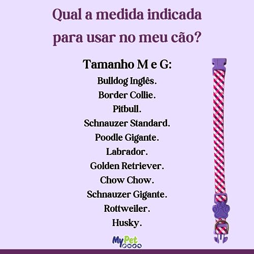 MY PET BRASIL Coleira Para Cachorros Pp Coleira Ajustável Pink & Purple Passeio E Viagem Confortável