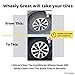 Wheely Great Tire Dressing Spray - Protects Rubber from U.V. Rays - Rubber Tire Conditioner So It Won't Dry Out and Crack - Keeps Tires Black, Not Shiny - Removes Brown Film from Sidewalls