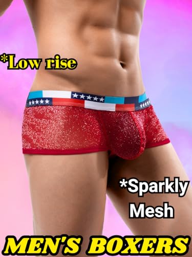 Mens Sexy Mesh Underwear, Sparkly Low Rise Boxers Briefs, USA American Flag Glitter, Sparkle Lingerie Bikini2