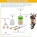 YeulYuuri Pet Feeding Bottle and Syringe Set for Puppies and Kittens(1 Bottles,2 Syringes,6 Nipples), Green