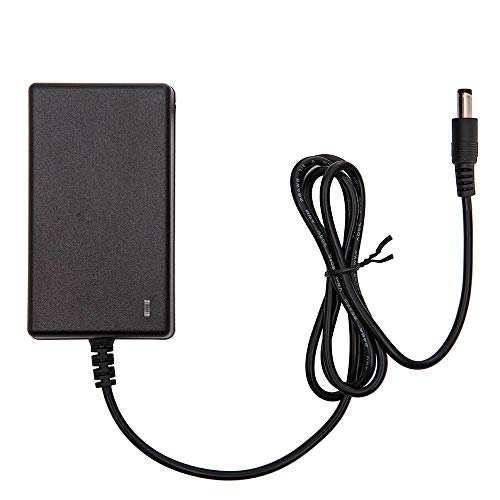 WEELYE 12V Charger for Kids Ride On Toys 12 Volt Universal Battery Charger