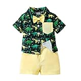 Toddler Baby Boy Summer Outfit, Kids Dinosaur Hawaiian Shirts, Short Sleeve Button Down Shirt Top + Shorts Set (Green, 2-3T)