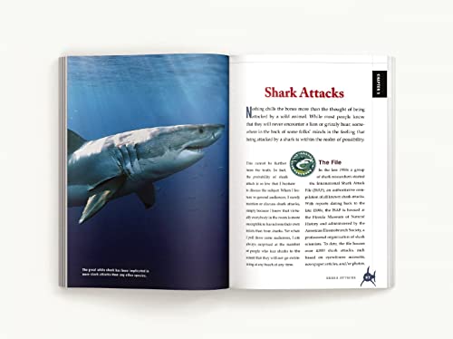 The Shark Handbook: Third Edition: The Essential Guide For Understanding The Sharks Of The World (Shark Week Author, Ocean Biology Books, Great White ... And Nature Books, Gifts For Shark Fans) #TOP6