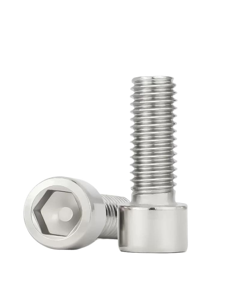 Tornillo Allen SS201 de acero inoxidable M3, M4, M5, M6, M8, M10 y M12 (50,M10 x 30 mm)