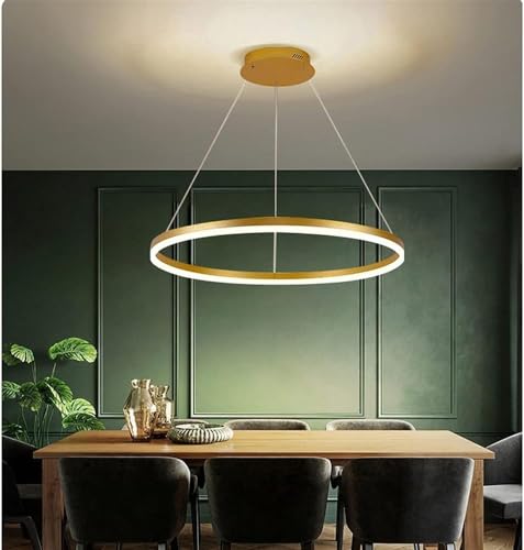 Lustre moderne brossé pour ajuster la lumière sans se déplacer - 2