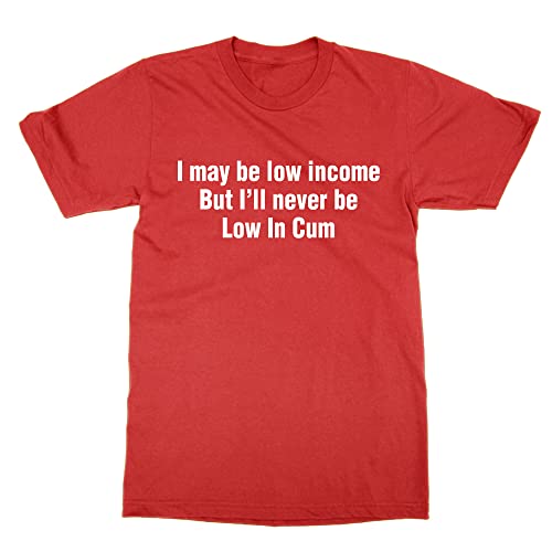 T-shirt I May be Low Income imprimé pour vos soirées entre amis