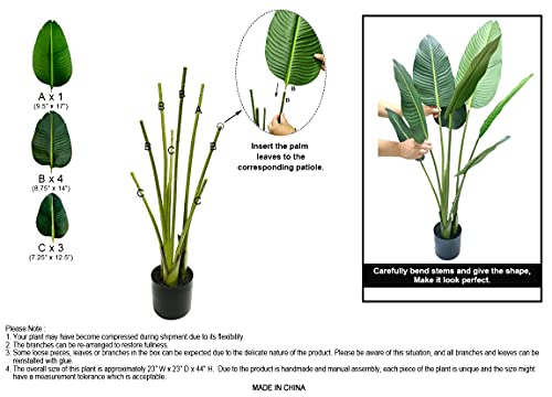 Recopilación y reviews de Planta hoja elegante para comprar online. 39 Imagen adicional