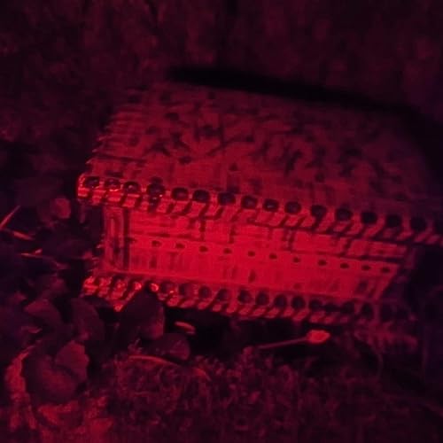 #5 - Die Schatulle der Angst