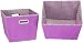 Household Essentials Medium Tapered Bins, Purple with Purple and White Gingham, Set of 2