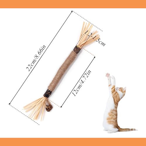 ANMOYIXIA Katzenminze Sticks Kaustangen Katze Katzensticks Katzen Kauhölzer Sticks für Katzen Zahnpflege und Gegen Mundgeruch (3 Stück)