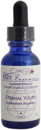 Andean Orchids: Eternal Youth