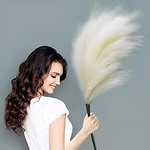Pampas Grass 18