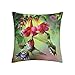 Cuscino Copricuscini Fiori di Colibrì Caso Federa Astratta Copricuscini Stampato Copri Cuscini 45X45Cm per Soggiorno, Divano, Camera