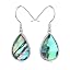 05_Teardrop-Abalone Shell