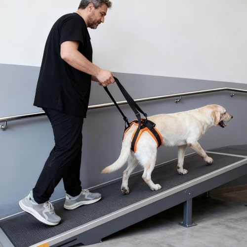 Hundegeschirr zum Heben – Mesh + Polyester, verstellbar, Reha-Geschirr, leichte Hunde-Mobilitätshilfe, bequeme Unterstützung für Spaziergänge, Erholung, Zuhause und Outdoor – Bild 4