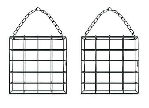 2 x Suet Block Bird Feeders Hanging Metal Suet Cake Holder with Chain Green Outdoor Garden Wild Bird Feeder Fits Standard Suet Cakes Durable Weatherproof Easy-Fill Design (Pack of 2)