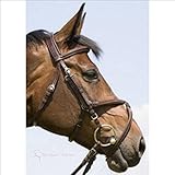  Kieffer Trensenzaum Exclusive Columba, mex. braun/braun, Warmblut Größe Warmblut, Farbe braun/braun