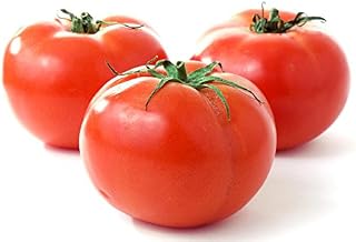 100 Beefsteak Tomato Lycopersicon Lycopersicum Fruit Vegetable Seeds …