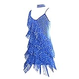 Mujer Danza Vestido Baile De Salón Latino Tango con Lentejuelas Y Flecos Fiesta Cóctel Ropa Falda Latina Franja Borla Vestido de Competencia para Mujeres Salsa Tango Samba cha cha Rumba (Azul)