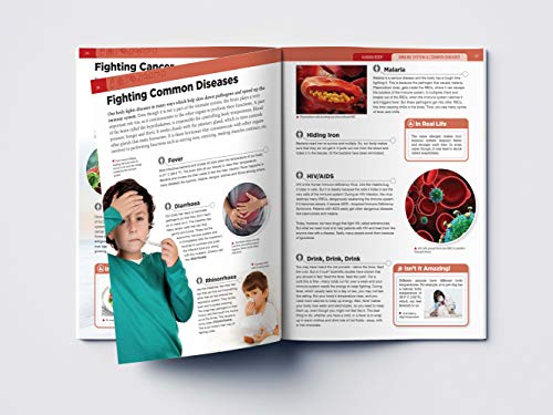 Image of Human Body - Immune System And Common Diseases: Knowledge Encyclopedia For Children