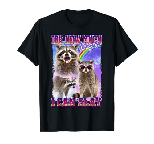 Idk How Much Longer I Can Slay Raccoon T-Shirt