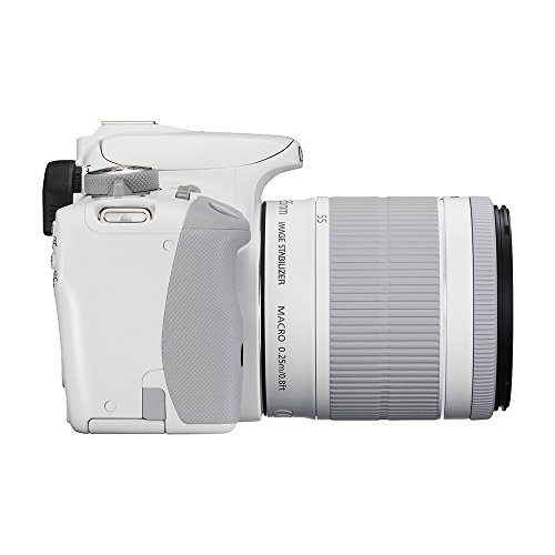 Ficha técnica Canon EOS Rebel SL1 EF-S 18-55mm IS STM Kit - Cámara digital - Fernando Cortés