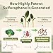 Cenffitio Sulforaphane Supplement from Broccoli Sprouts | NRF2 Activation, Antioxidant & Detox Support | Broccoli Sprout Powder for Myrosinase and Glucoraphanin | Vegan, High Absorption | 30 Servings