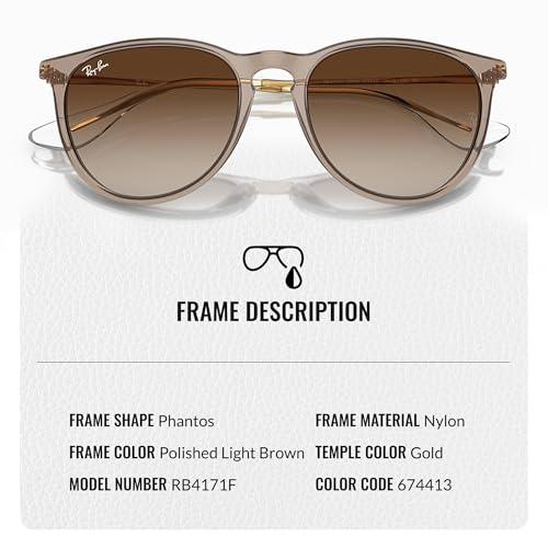 Image of Ray-Ban RB4187F CHRIS LOW BRIDGE FIT Square Shape Sunglasses for Women with Official RayBan Eyewear Kit