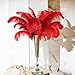 VoilaLove 10pcs Natural Ostrich Feather Craft 14-16inch(35-40cm) Plume for Wedding Centerpieces Home Decoration DIY（Red, 10Pcs 14-16inch