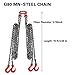 Chain Sling, 5/16 Inch X 10 FT Engine Lift Chain G80 Alloy Steel Engine Chain Hoist Lifts 5 Ton with 4 Leg Industrial Grab Hooks Used in Mining, Machinery, Ports, Building (10FT)