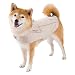 VIVAGLORY Cozywrap Wintermantel Hund, Hundejacke mit Geschirr Öffnung, Fleecejacke Hund Hundejacke, Reflektierend & Verstellbar Fleece Softshell, M, Beige
