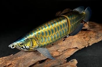 Amazon.co.jp: ドランクレイジー 皇 SUMERAGI #08 BL-001